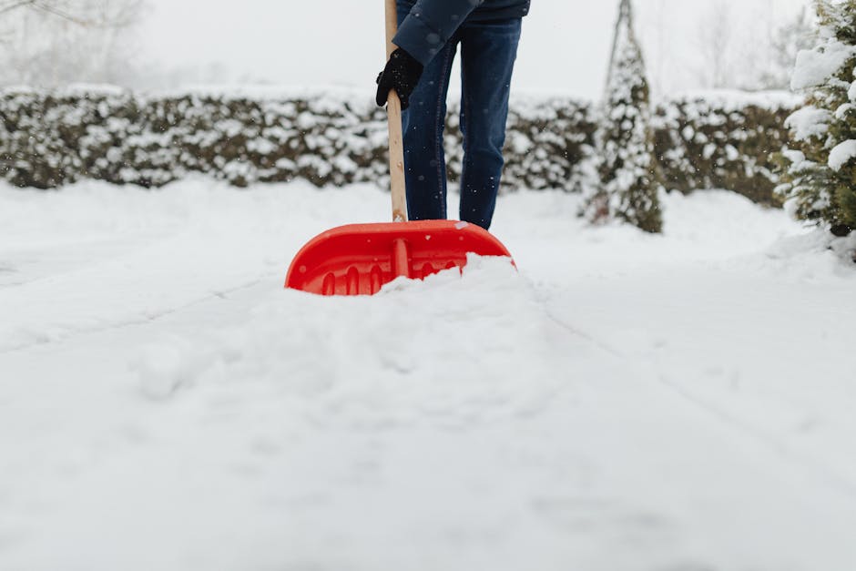 A person wearing dark jeans, black gloves, and a dark jacket is using a red snow shovel to clear snow from a pathway outside a property. The individual is holding the wooden handle of the shovel, which is partially embedded in the snow, indicating active shoveling. Surrounding the scene are snow-covered bushes and trees, with a background of a snow-dusted garden or outdoor area, suggesting winter weather conditions. The scene is evenly lit with natural daylight, capturing the process of home relocation or outdoor clearing typical during winter months, as part of preparing for a house move. The snow removal equipment, specifically the red shovel, is positioned centrally in the frame, emphasizing the task involved in clearing access for moving furniture or boxes during the move. The image is relevant to house removals and moving logistics, illustrating outdoor preparation or access management for property relocation, consistent with the services offered by Man with Van South Hornchurch.